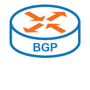Border Gateway Protocol Icon