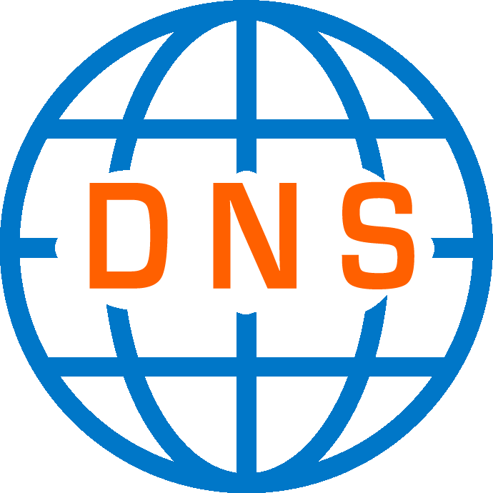 world with DNS
